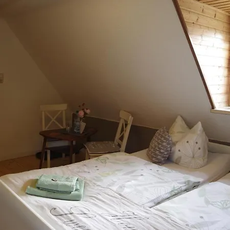 Wirtschaft & Zum Huthaus Pensjonat Schneeberg (Saxony)